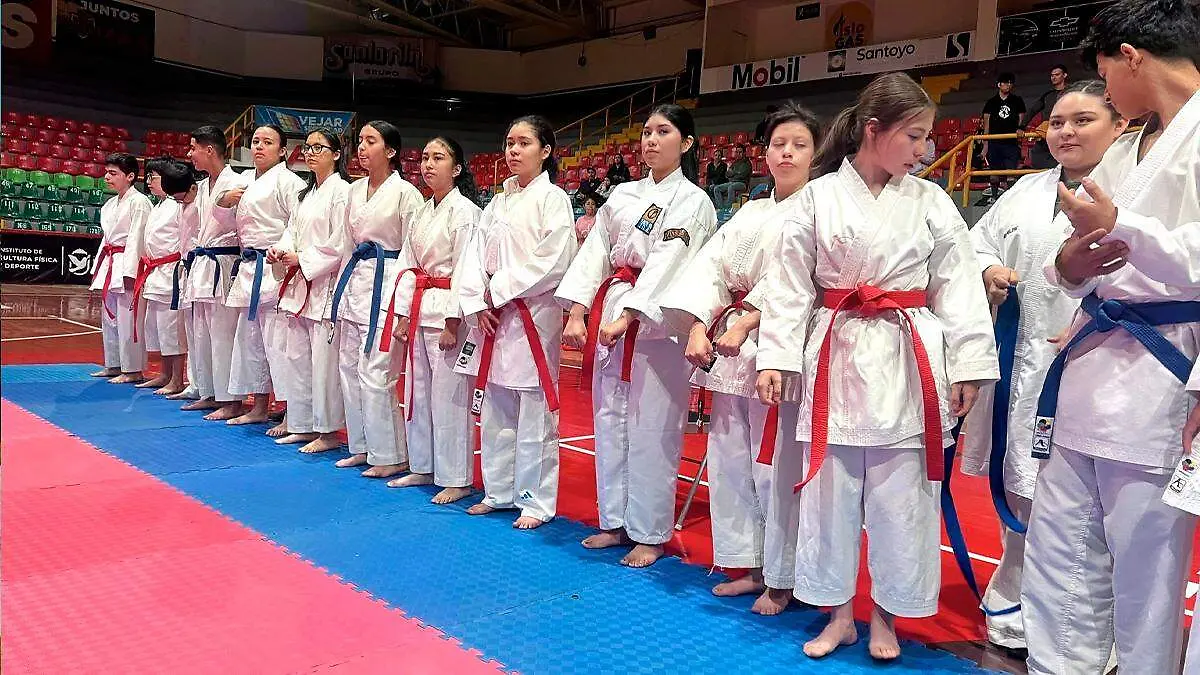 Competencia de karate